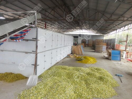 黎川菊花烘干機(jī)